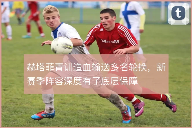 赫塔菲青训造血输送多名轮换，新赛季阵容深度有了底层保障
